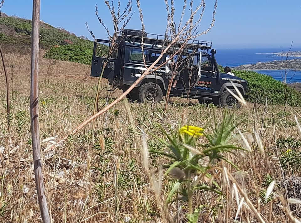 Escursione in Fuoristrada all'Asinara