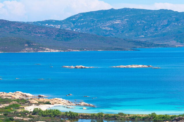 Asinara, ricostituita la Comunità del Parco Nazionale. Poste le basi per una nuova valorizzazione di un’area dalle straordinarie potenzialità